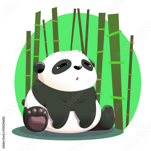 baby panda and bamboo tree photo