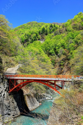 新緑に萌える秋山郷中津川渓谷