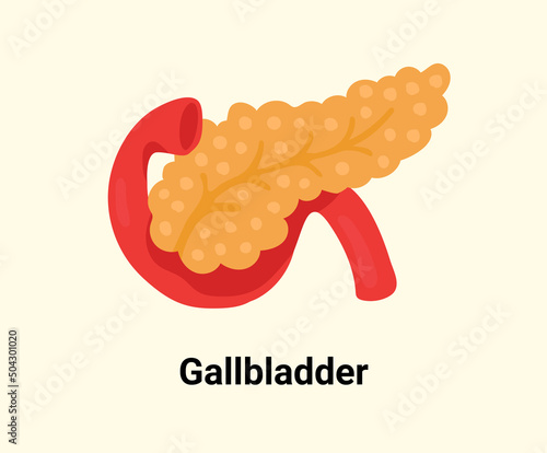 gallbladder illustration set. human, body Vector drawing. Hand drawn style.
