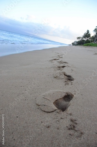 beach in the morning