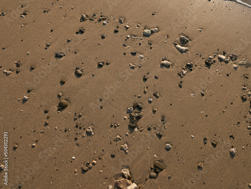 high angle perspective of rocks and shells on a wet sand beach - used as background graphical resource - no person nobody