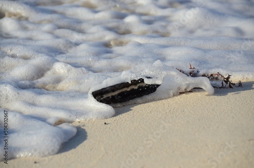 sea and sand