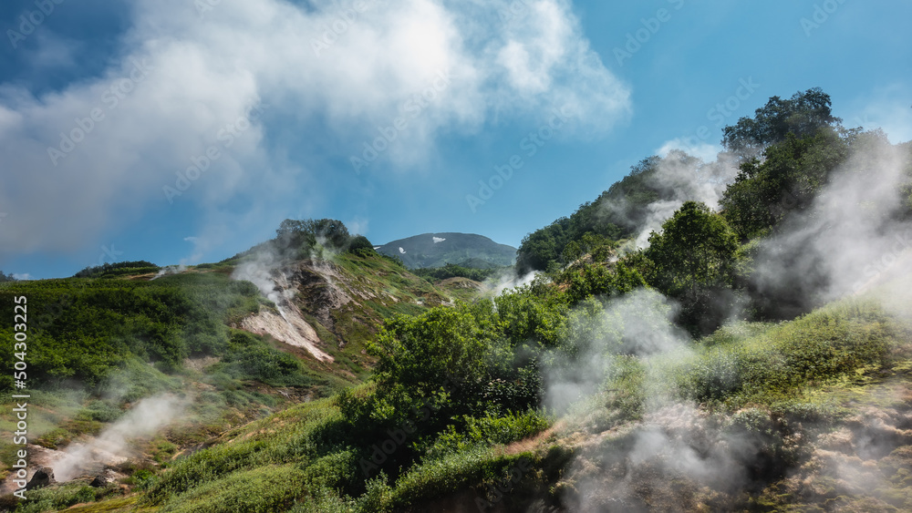There is green vegetation on the mountain slopes. Clouds of steam from hot springs rise here and there above the ground. Blue sky. Kamchatka. Valley of Geysers