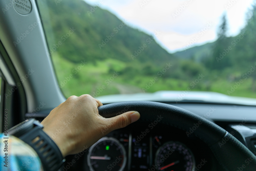Driving off road car in the summer forest mountains