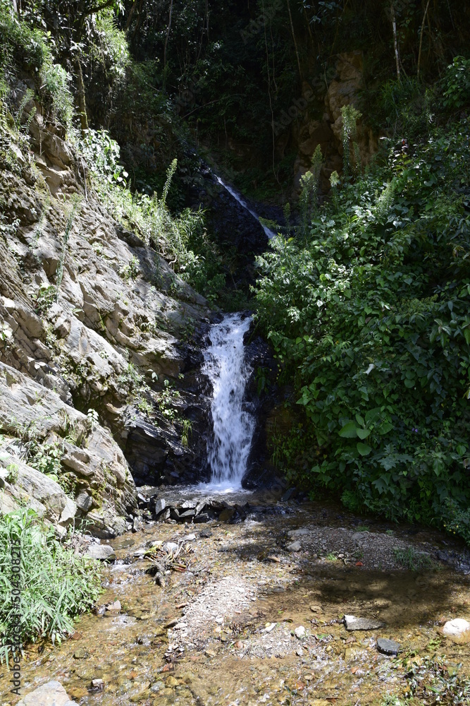 A small waterfall on the Death road, Camino de la Muerte, Yungas North Road between La Paz and Coroico, Bolivia A small waterfall on the Death road, Camino de la Muerte, Yungas North Road between La Paz and Coroico, Bolivia