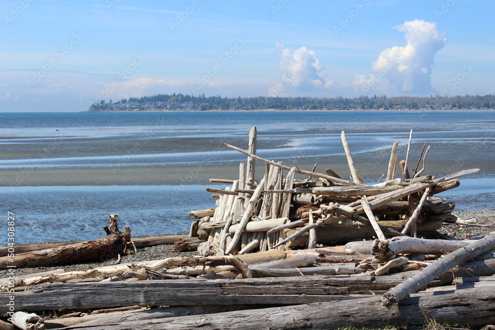 A pile of driftwood at a Pacific Northwest beach