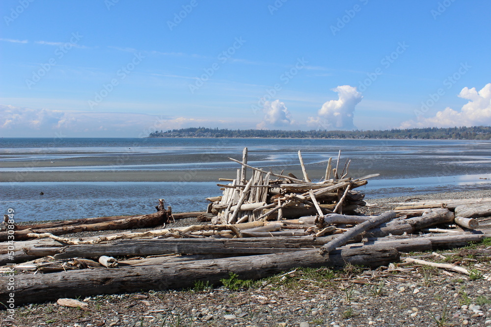 A pile of driftwood at a Pacific Northwest beach A pile of driftwood at a Pacific Northwest beach