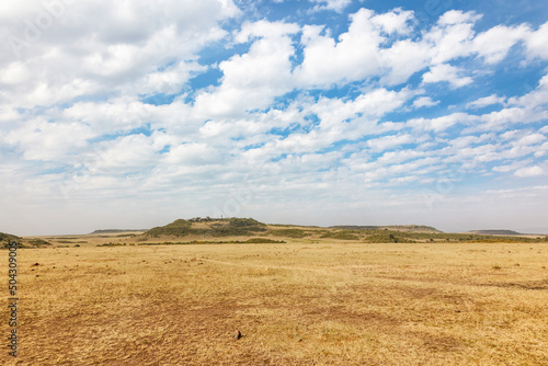 Landscape view on the Masai Mara savannah in Kenya