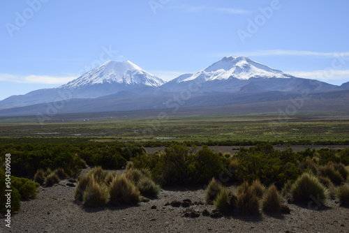 Sajama National Park surrounded by snow-capped mountains with black clouds surrounded by dry vegetation. Bolivia