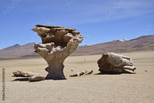 The famous stone tree rock formation (Arbol de Piedra) in the Siloli desert in the region of the Uyuni Salt Flat