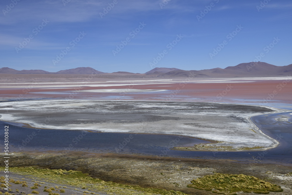 Laguna Colorada, on Eduardo Avaroa National Reserve in Uyuni, Bolivia at 4300 m above sea level. Laguna Colorada, on Eduardo Avaroa National Reserve in Uyuni, Bolivia at 4300 m above sea level.