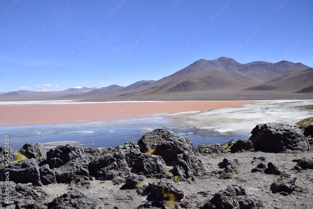 Laguna Colorada, on Eduardo Avaroa National Reserve in Uyuni, Bolivia at 4300 m above sea level.