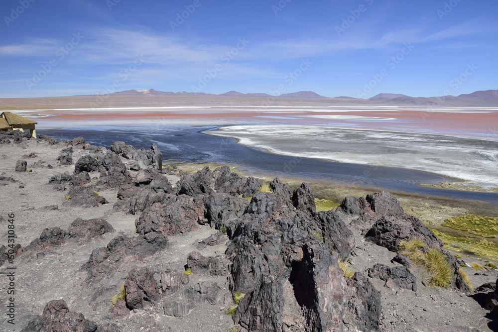 Laguna Colorada, on Eduardo Avaroa National Reserve in Uyuni, Bolivia at 4300 m above sea level.