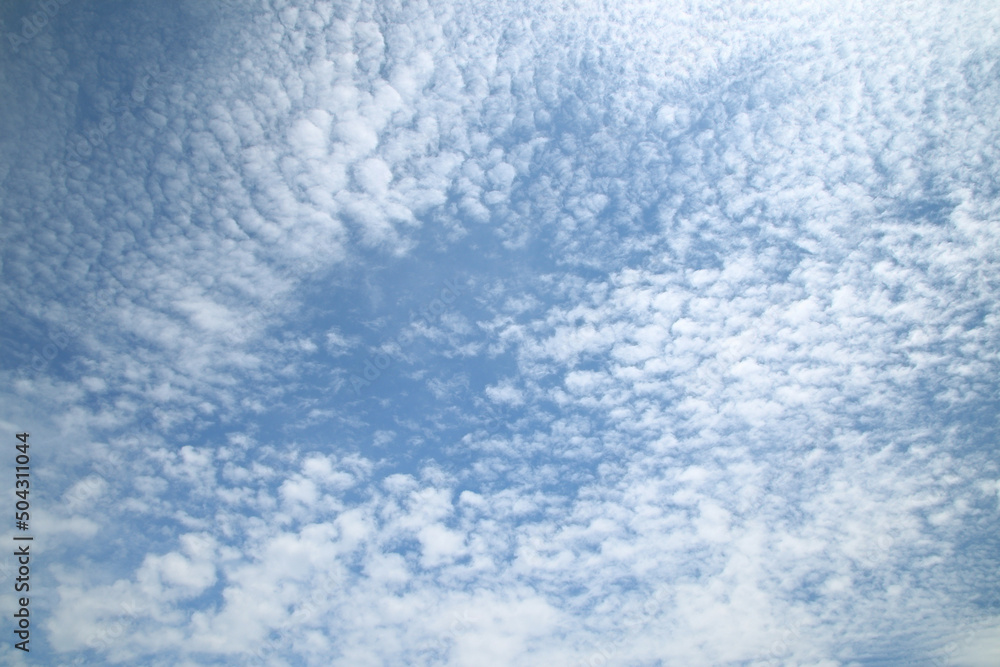 A view of a cloudy sky as a background fills the area A view of a cloudy sky as a background fills the area