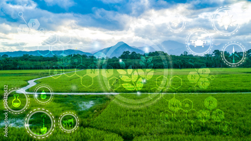 Icon  technology  in rice with modern technology application in rice fields production control  for smart  technology farm system, Blur picture, High angle view. photo