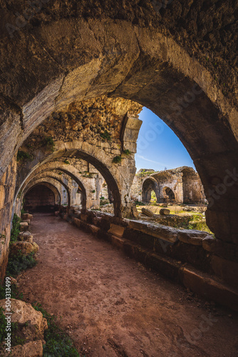 Ruins of Evdirhan medieval inn photo
