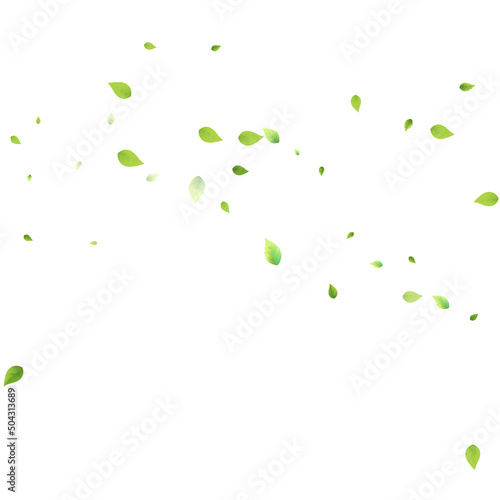 Leaves Green Falling Flying Foliage Leaf Tea Mint