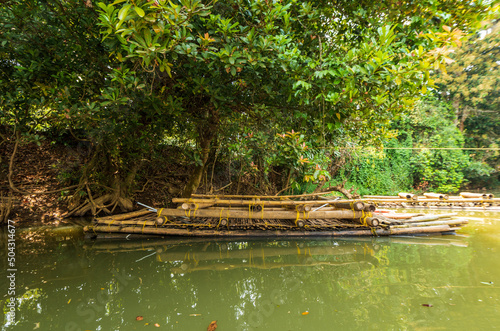 Kuruva Island, Wayanad, Kerala, India. photo