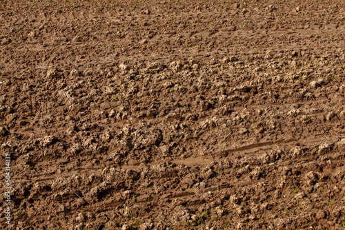 part of the territory of an agricultural field with fertile soil © rsooll