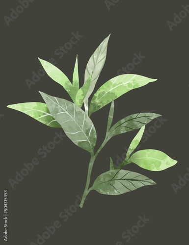 illustration of matcha tea Japanese ceremony advertising banner on dark green. Flyer or publication about the tea ceremony