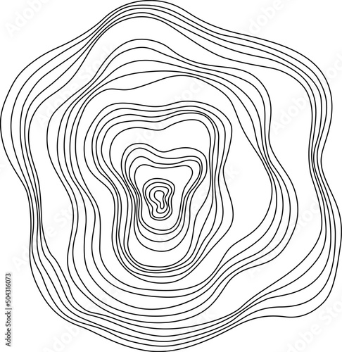 Abstract tree rings. Vector topographic map concept. Seamless background. Thin black lines on white