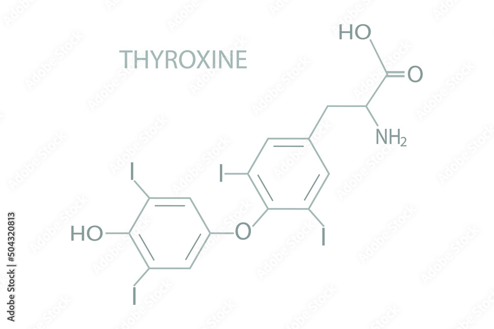 Thyroxine molecular skeletal chemical formula. Thyroxine molecular skeletal chemical formula.