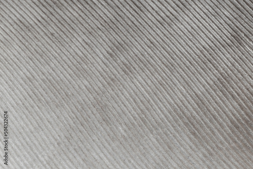 close up of gray feather texture
