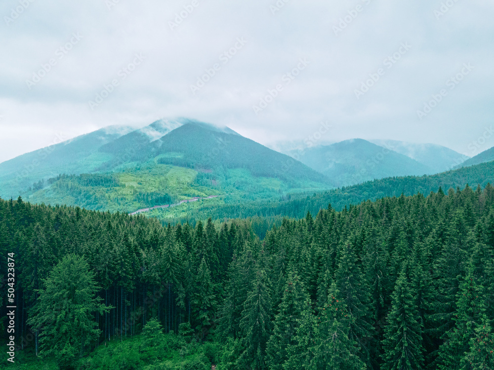 Fototapeta premium landscape scenic panoramic view of carpathian mountains