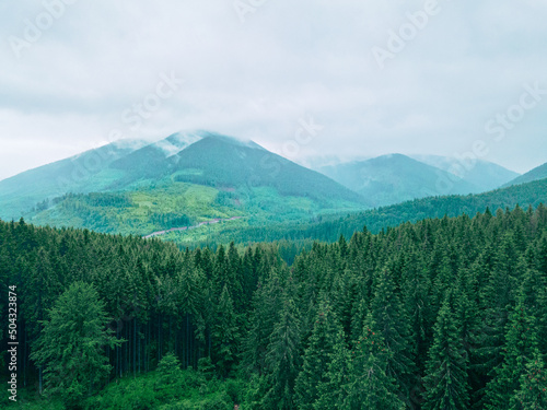 landscape scenic panoramic view of carpathian mountains