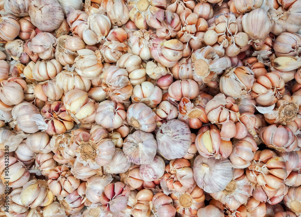 close up of garlic