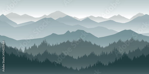 Mountain landscape with pines and forests in the morning or evening.