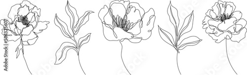 Peony flowers isolated vector illustration. Vector wildflowers for background. Abstract botanical art. Simple minimalist art set. Continuous line drawing.