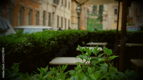 old traditional italian courtyard with stone stairs and potted plants