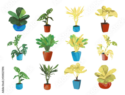 Office bonsai illustration set. Tropical bonsai in the room, fortune tree, betel nut, prince white horse, tropical eagle, aquatic plant, gilded plant, red pot, blue pot. Vector illustration.
