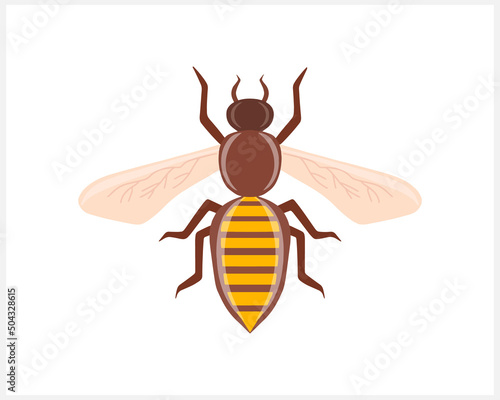 Outline doodle bee icon isolated. Hand drawn vector stock illustration. EPS 10 © Iryna