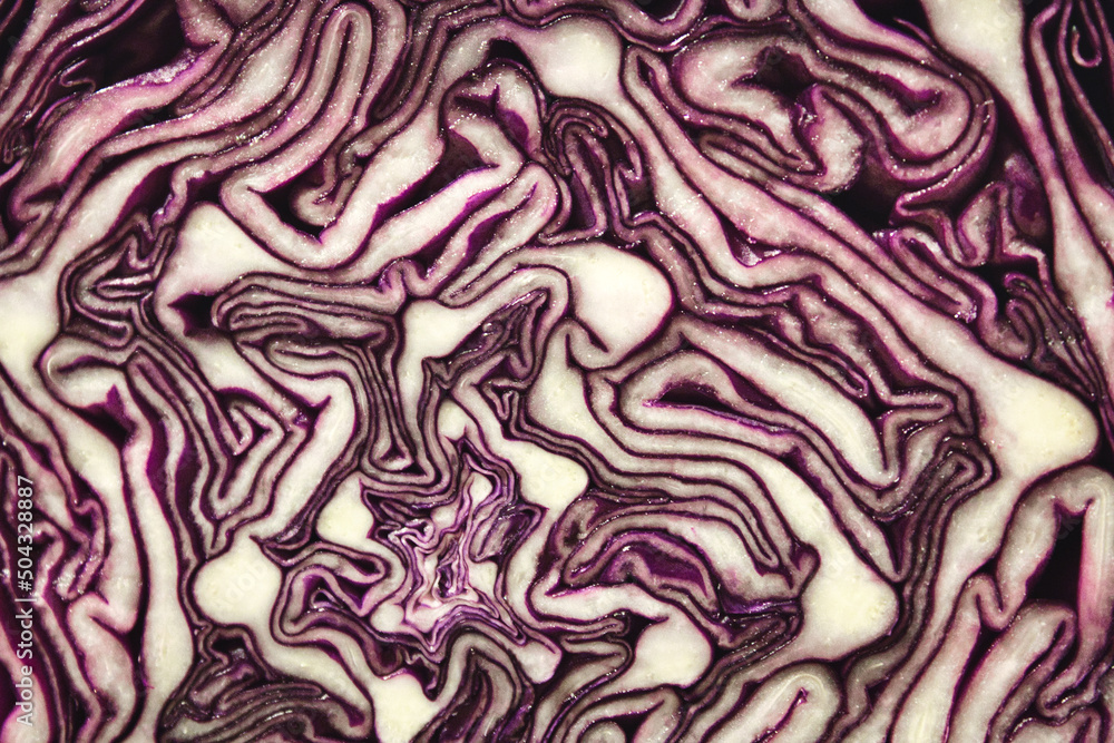 Closeup texture shot of inside a red cabbage Closeup texture shot of inside a red cabbage