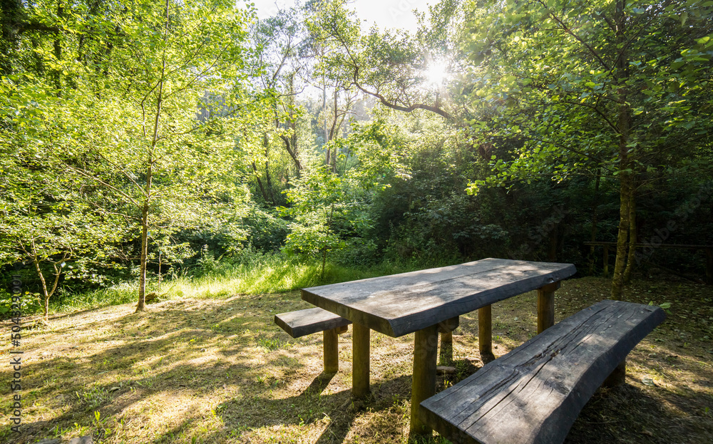 picnic table in the nature. public area in the woods picnic table in the nature. public area in the woods