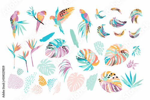 Vector illustrations of parrots, tropical leaves, bananas. Clipart, isolated elements.