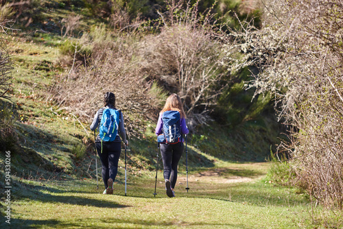 Three female backpacker hikers on a pathway. Mountain trekking