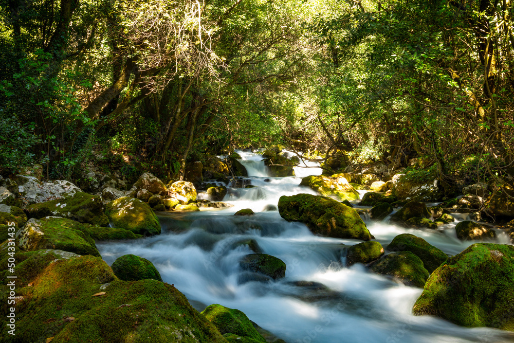 Fototapeta premium A mountain river flows in a forest.