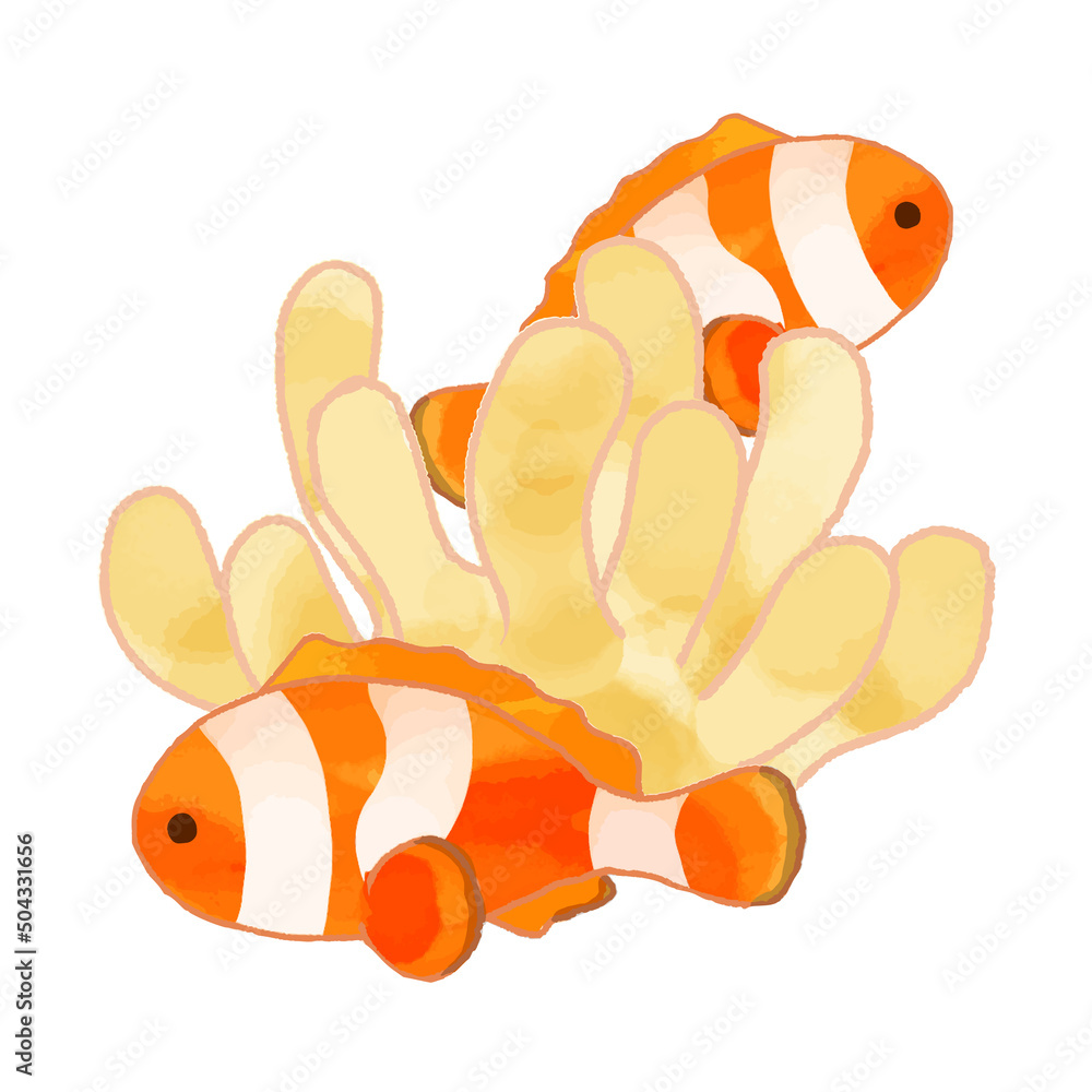 カクレクマノミとイソギンチャクの手描き風イラスト素材 水彩 Stock Vector Adobe Stock カクレクマノミとイソギンチャクの手描き風イラスト素材 水彩 Stock Vector Adobe Stock