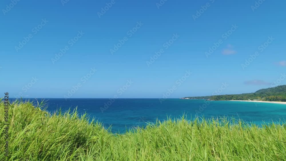 Sandy palm beach on the ocean on a sunny summer day. Green meadow grass against the background of the turquoise sea. Blue cloudy sky over the Dominican Peninsula. Journey to a tropical paradise. Sandy palm beach on the ocean on a sunny summer day. Green meadow grass against the background of the turquoise sea. Blue cloudy sky over the Dominican Peninsula. Journey to a tropical paradise.