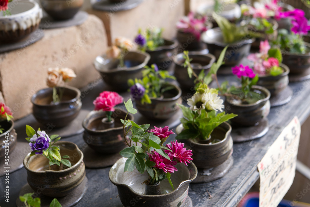 Many flowers displayed in ceramic pots Many flowers displayed in ceramic pots