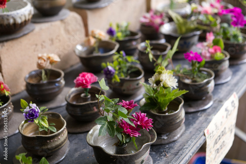 Many flowers displayed in ceramic pots