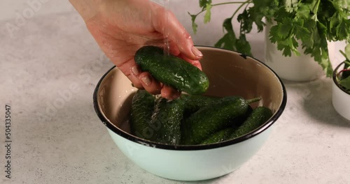Fresh green cucumber vegetable fruit in white bowl washing