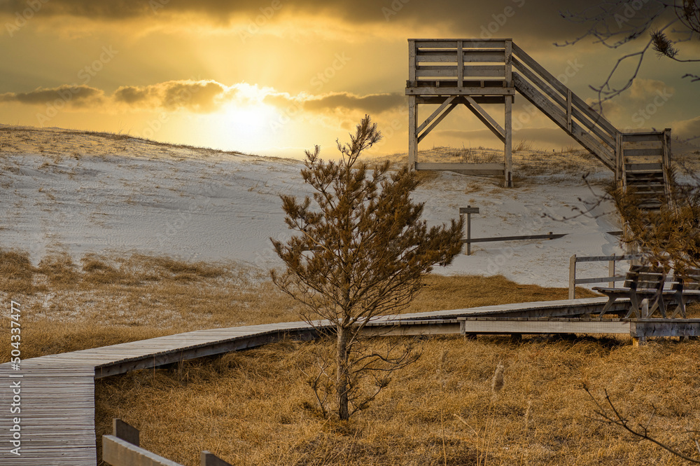 Sunset at the observation tower at the high dune on the Darss. National Park Sunset at the observation tower at the high dune on the Darss. National Park