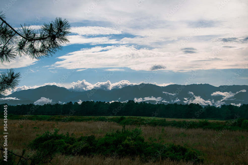 Obraz premium landscape with clouds