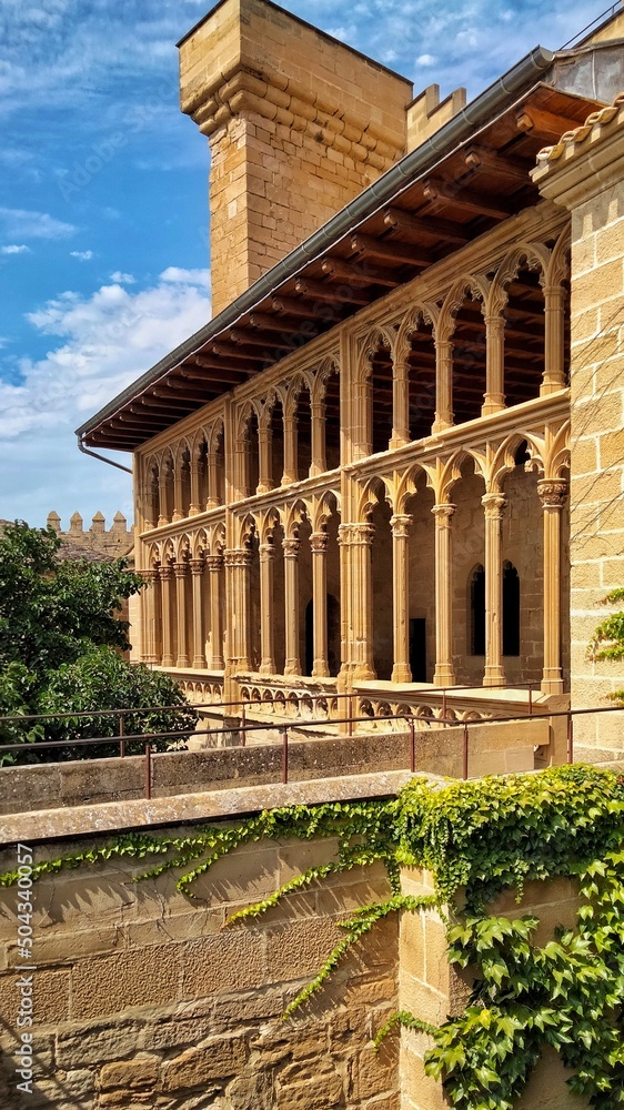 Naklejka premium Olite