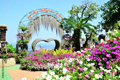 flowers in the park