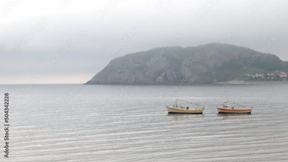 Pair of tourist boats waiting offshore under misty Welsh island coastline Pair of tourist boats waiting offshore under misty Welsh island coastline
